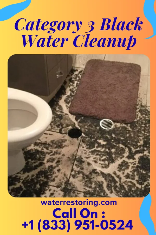Category 3 Black Water Cleanup in Ellsworth, IL