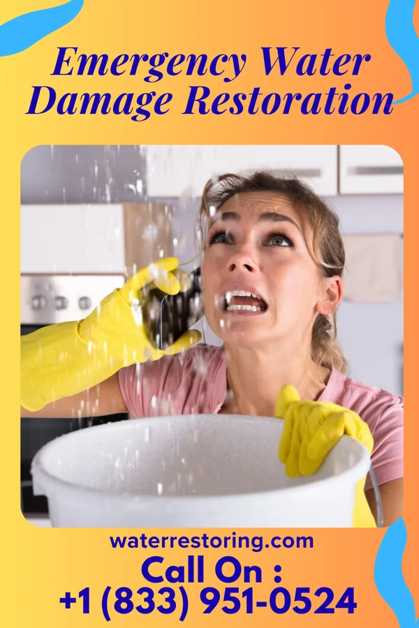 Emergency Water Damage Restoration in Ellsworth, IL