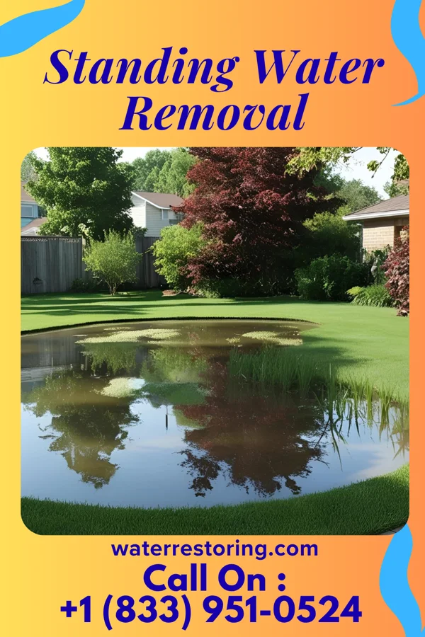 Standing Water Removal in Ellsworth, IL